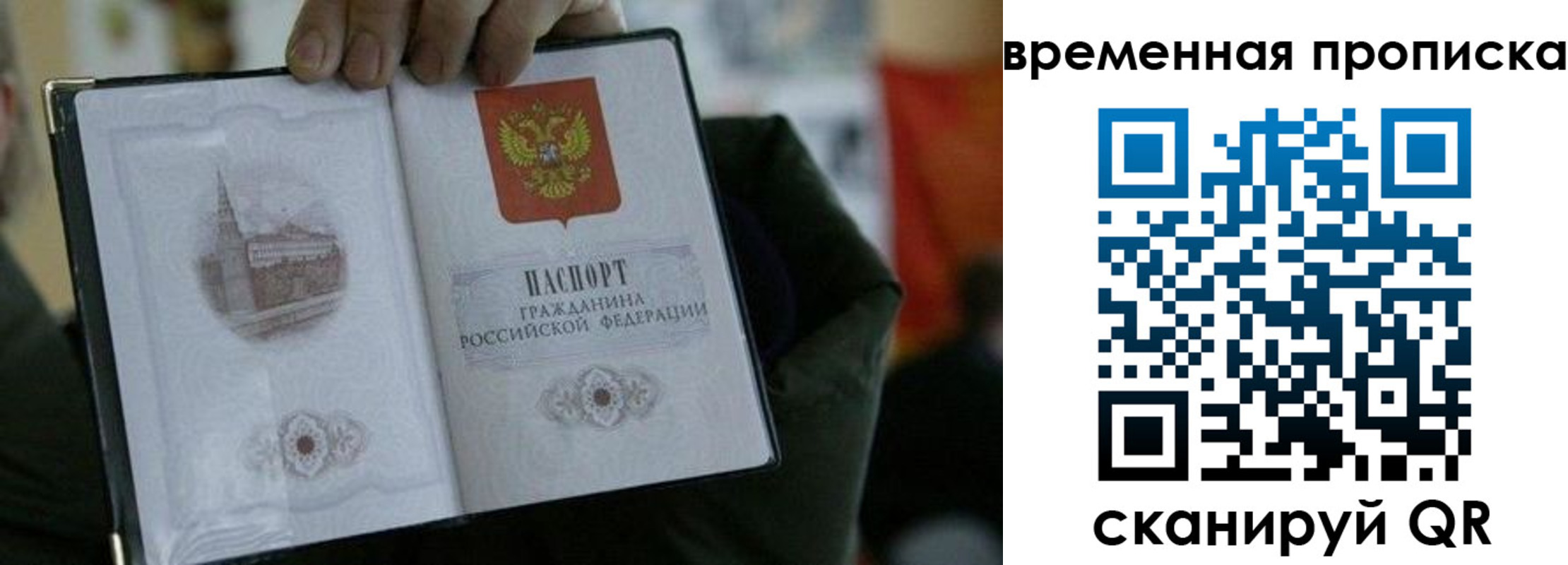найти адрес прописки в Ногинске